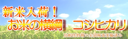 新米 コシヒカリ