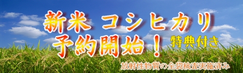 福島県 米 新米セール